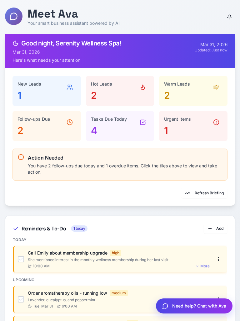 Ava Ledger dashboard showing the AI assistant, daily briefing, and business overview